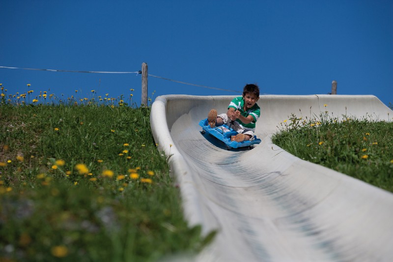 Summer Rodelbahn in Saalfelden